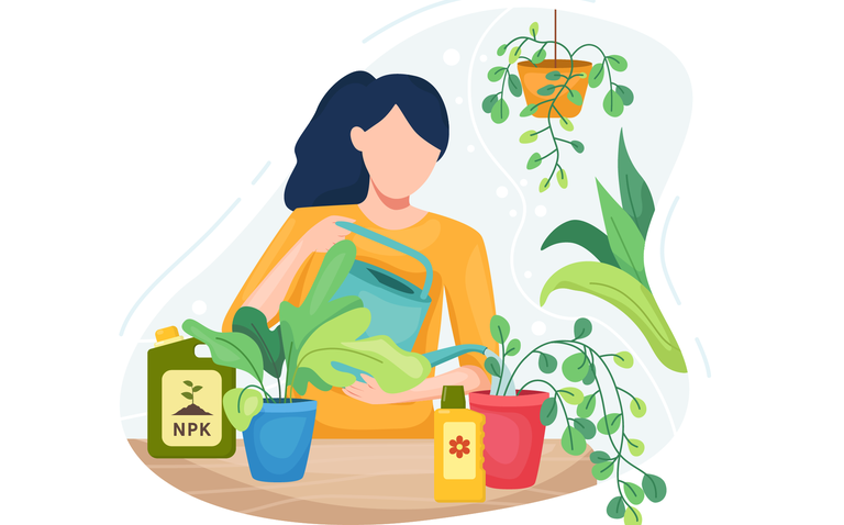 Fertilizer 101, how to fertilize your plants, fertilization, houseplants, houseplants care, living house, living house plants 