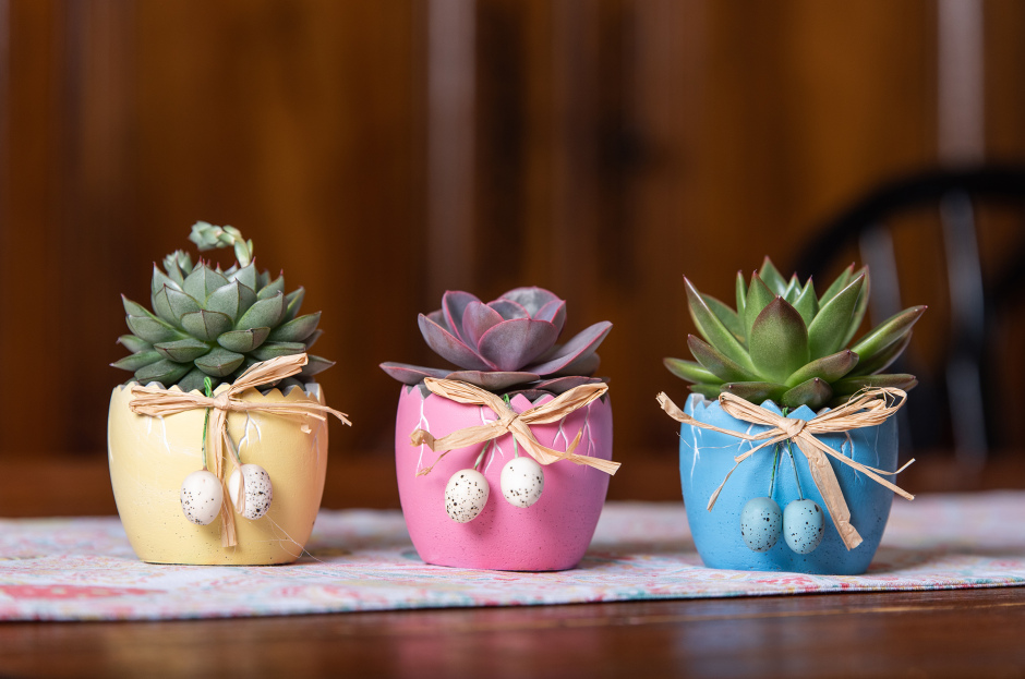 Succulents in Easter themed ceramics