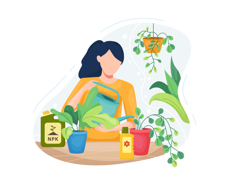 Fertilizer 101, how to fertilize your plants, fertilization, houseplants, houseplants care, living house, living house plants 